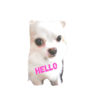 おマヌケりあんの日常（個別スタンプ：1）