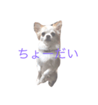 おマヌケりあんの日常（個別スタンプ：3）