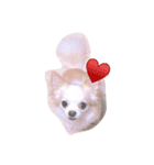 おマヌケりあんの日常（個別スタンプ：4）