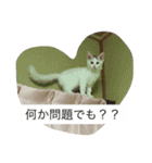 メロとアナン2（個別スタンプ：6）