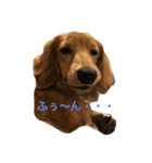 ロブ＆チップ（個別スタンプ：1）