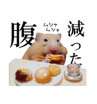 キンクマハムスターのうどんちゃん2（個別スタンプ：5）