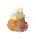 キンクマハムスターのうどんちゃん2（個別スタンプ：8）