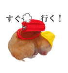 キンクマハムスターのうどんちゃん2（個別スタンプ：10）