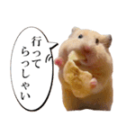キンクマハムスターのうどんちゃん2（個別スタンプ：11）