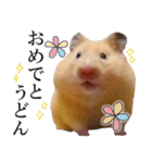 キンクマハムスターのうどんちゃん2（個別スタンプ：19）