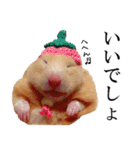 キンクマハムスターのうどんちゃん2（個別スタンプ：20）