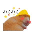 キンクマハムスターのうどんちゃん2（個別スタンプ：21）