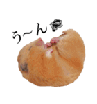 キンクマハムスターのうどんちゃん2（個別スタンプ：22）