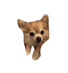 てとズ（個別スタンプ：3）
