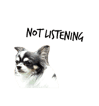 The Adventurous Chihuahuas（個別スタンプ：23）
