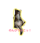 ノアの顔芸（個別スタンプ：8）