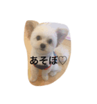 お友達レンくん（個別スタンプ：5）