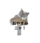 むううた（個別スタンプ：8）