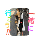 モカぽんと仲間たち②（個別スタンプ：35）