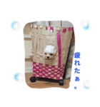 MYFamily*（個別スタンプ：14）