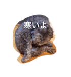 アンくんです！（個別スタンプ：5）