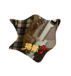 suro-rorisu（個別スタンプ：5）