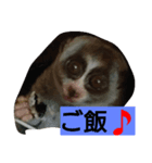 suro-rorisu（個別スタンプ：7）
