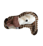 きらうさぎ（個別スタンプ：5）