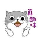 Cat - Greetings and blessings（個別スタンプ：29）