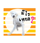 MooYhong ＆ MheePoo (The White Dogs)（個別スタンプ：2）