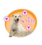 MooYhong ＆ MheePoo (The White Dogs)（個別スタンプ：5）