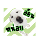 MooYhong ＆ MheePoo (The White Dogs)（個別スタンプ：10）
