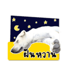 MooYhong ＆ MheePoo (The White Dogs)（個別スタンプ：22）