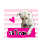 MooYhong ＆ MheePoo (The White Dogs)（個別スタンプ：34）