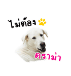 MooYhong ＆ MheePoo (The White Dogs)（個別スタンプ：38）