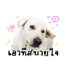 MooYhong ＆ MheePoo (The White Dogs)（個別スタンプ：39）