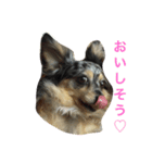 パピヨンとチワックスのご挨拶スタンプ（個別スタンプ：7）