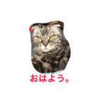 ニャルソック防衛隊ミミオレ部隊（個別スタンプ：8）