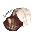 amusan.（個別スタンプ：1）