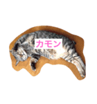 だいちゃんのすたんぷ（個別スタンプ：1）