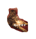 だいちゃんのすたんぷ（個別スタンプ：3）