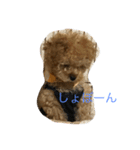 ティガⅡ（個別スタンプ：1）