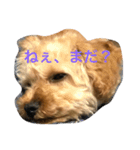 ティガⅡ（個別スタンプ：5）
