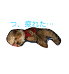 ティガⅡ（個別スタンプ：6）