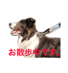 surf君のスタンプです。（個別スタンプ：15）