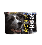surf君のスタンプです。（個別スタンプ：16）