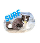 surf君のスタンプです。（個別スタンプ：23）