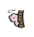 日常ピンクコアラ（個別スタンプ：13）