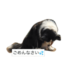 アンディと一緒（個別スタンプ：1）