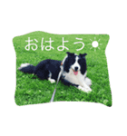 アンディと一緒（個別スタンプ：2）