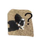 アンディと一緒（個別スタンプ：5）