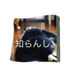 アンディと一緒（個別スタンプ：11）