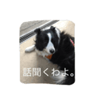 アンディと一緒（個別スタンプ：13）