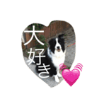 アンディと一緒（個別スタンプ：14）